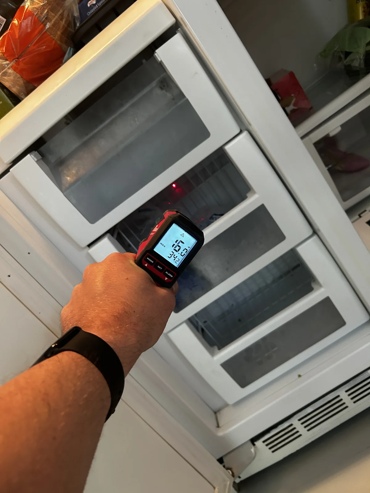 Freezer temperature check from the owner’s work archive